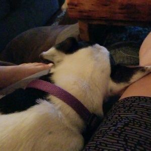 Meet your Posher, Brady